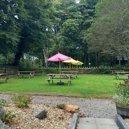Woodland Retreat Villa Uny Lelant Luaran gambar