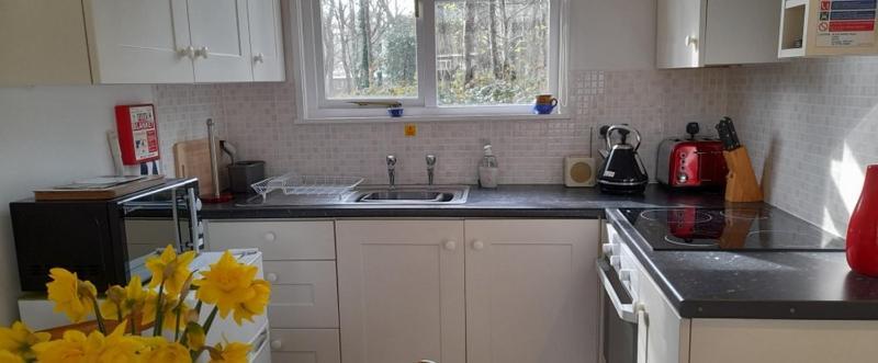 Woodland Retreat Villa Uny Lelant Luaran gambar